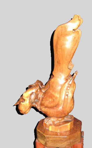 A Bird Thou Never Wert